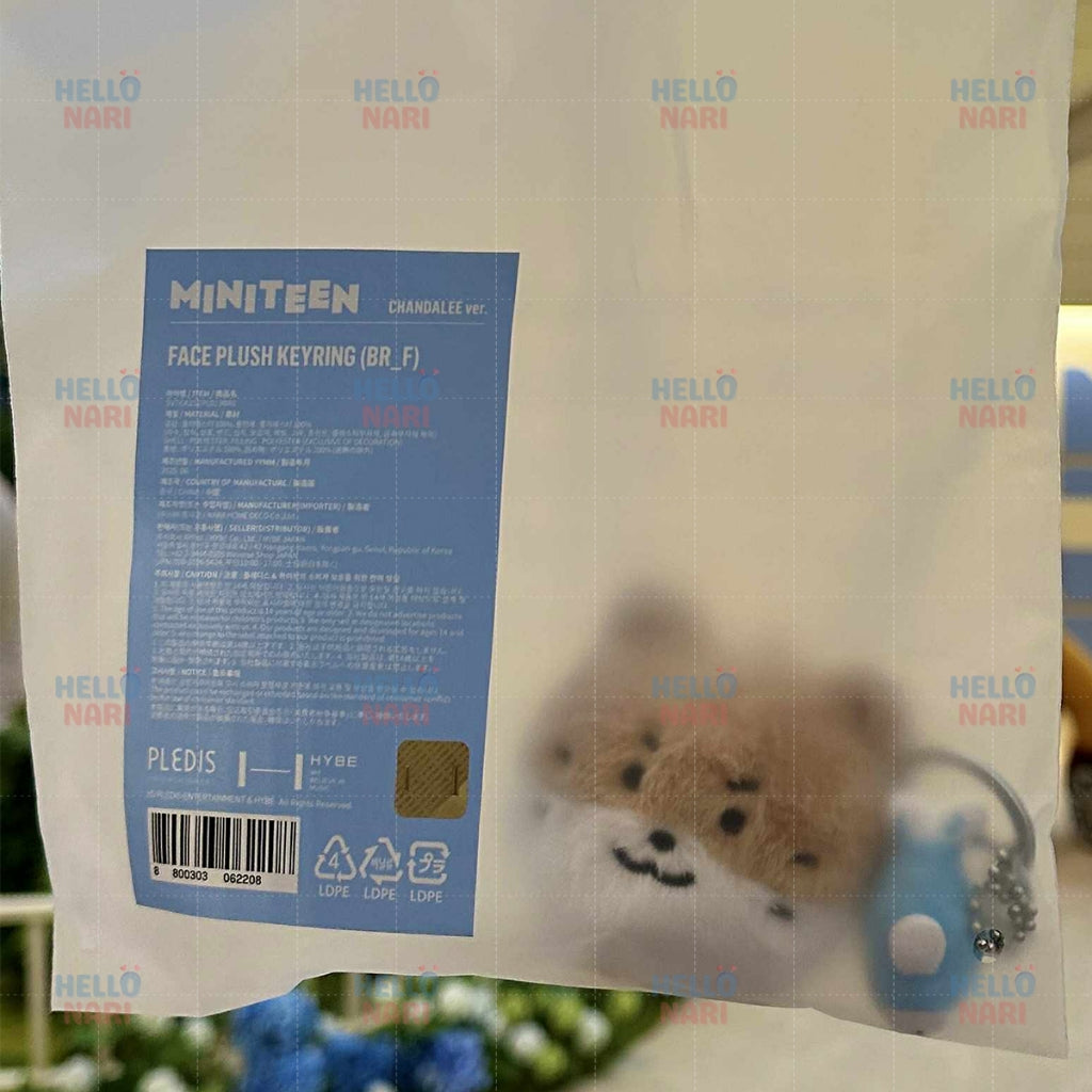 SEVENTEEN MINITEEN House Party - Face Plush Keyring