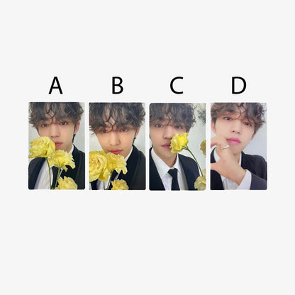 SEVENTEEN FML Carat Version Official Album Photocards