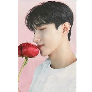 SEVENTEEN 2023 Cafe in Seoul Official Trading Cards