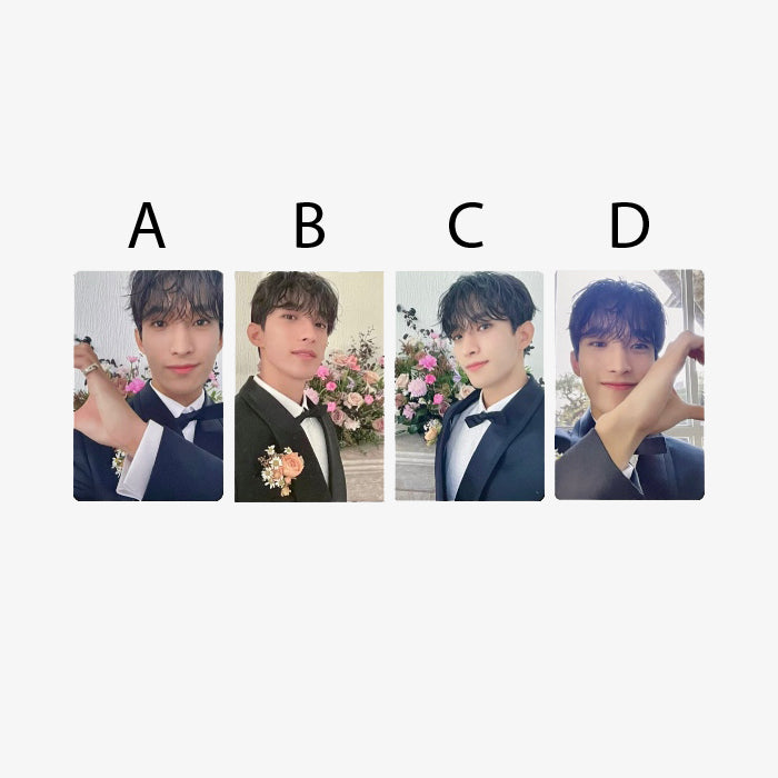 SEVENTEEN FML Carat Version Official Album Photocards