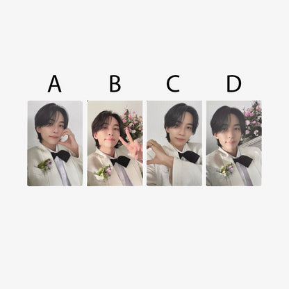 SEVENTEEN FML Carat Version Official Album Photocards