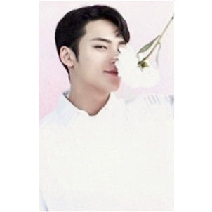 SEVENTEEN 2023 Cafe in Seoul Official Trading Cards