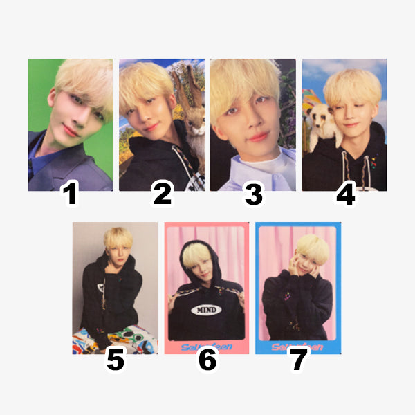 SEVENTEEN DICON D'FESTA Mini Edition Official Photocards (DICON 102)