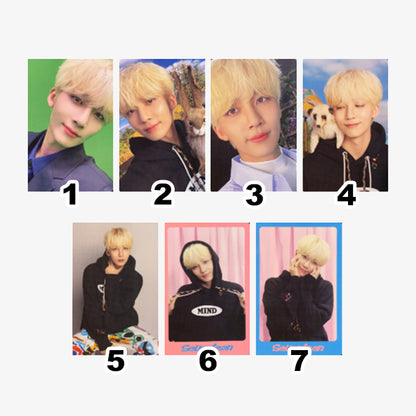 SEVENTEEN DICON D'FESTA Mini Edition Official Photocards (DICON 102)