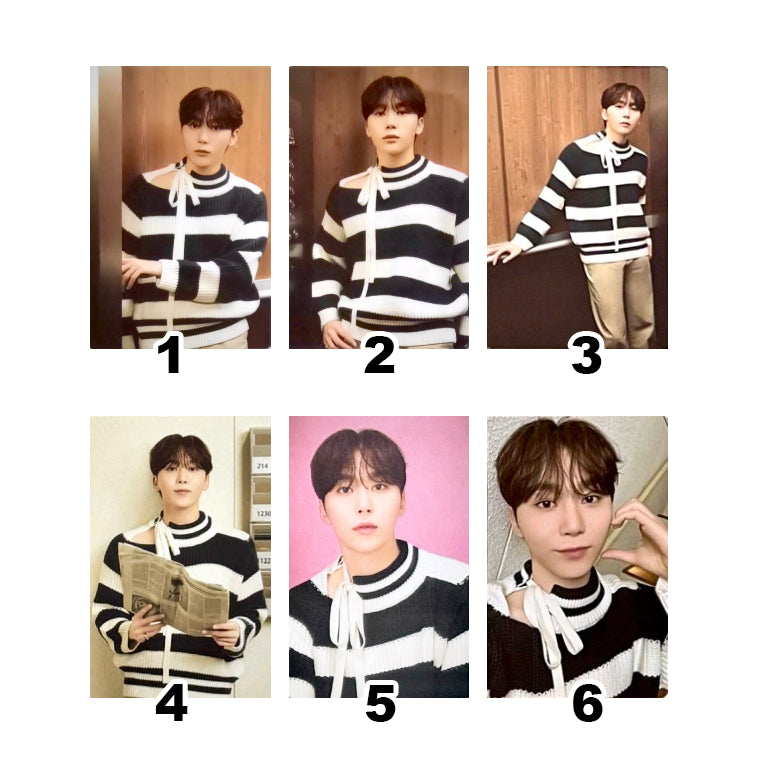 SEVENTEEN 2024 SVT 8th Fan Meeting: SEVENTEEN in CARAT LAND Official Trading Cards