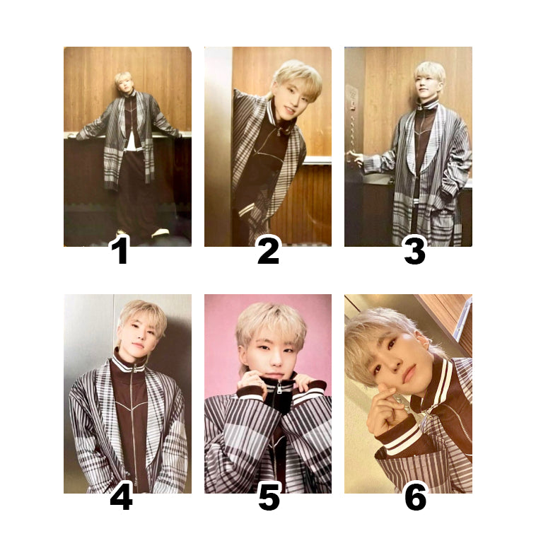 SEVENTEEN 2024 SVT 8th Fan Meeting: SEVENTEEN in CARAT LAND Official Trading Cards