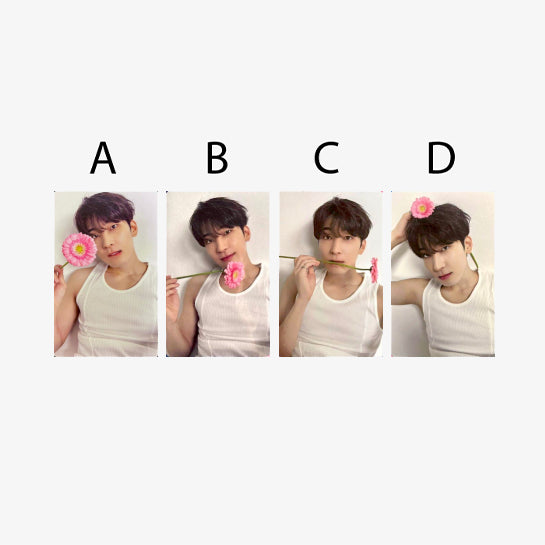 SEVENTEEN 17 IS RIGHT HERE Dear Version - Official Random Photocards