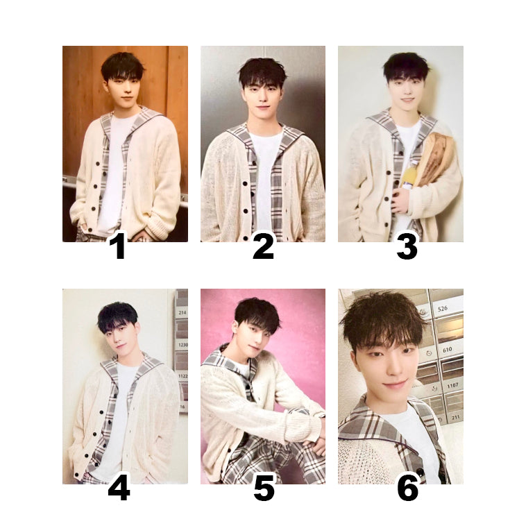 SEVENTEEN 2024 SVT 8th Fan Meeting: SEVENTEEN in CARAT LAND Official Trading Cards