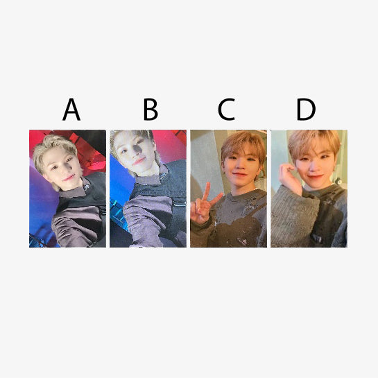 SEVENTEEN Attacca Carat Version Official Album Photocards