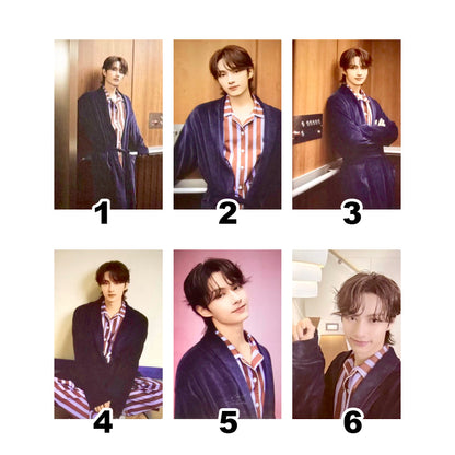SEVENTEEN 2024 SVT 8th Fan Meeting: SEVENTEEN in CARAT LAND Official Trading Cards