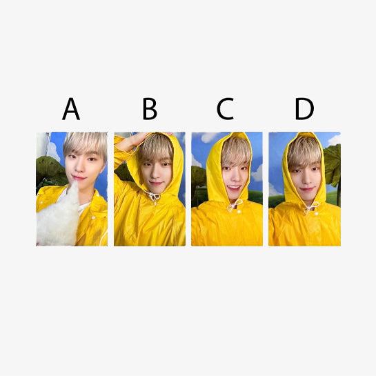 SEVENTEEN Seventeenth Heaven Carat Version Official Album Photocards