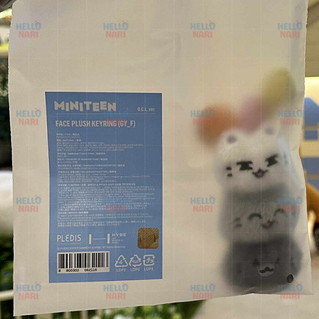 SEVENTEEN MINITEEN House Party - Face Plush Keyring
