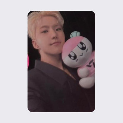 SEVENTEEN US Carat World / Reflective Windbreaker Bongbongie Photocard