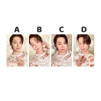 SEVENTEEN HAPPY BURSTDAY Standard Version: New Myself - Official Album Photocards