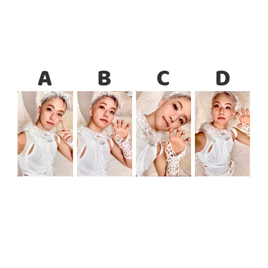 SEVENTEEN HAPPY BURSTDAY Standard Version: New Myself - Official Album Photocards