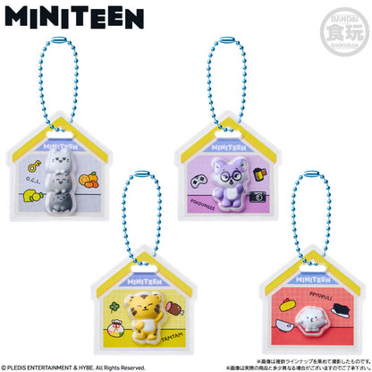 SEVENTEEN MINITEEN Package Charm & Gummy