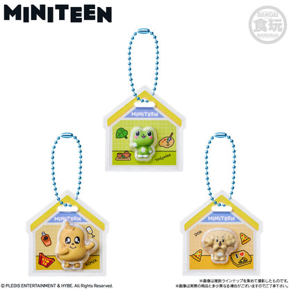 SEVENTEEN MINITEEN Package Charm & Gummy