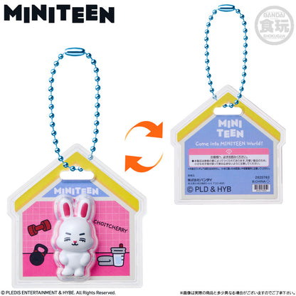 SEVENTEEN MINITEEN Package Charm & Gummy